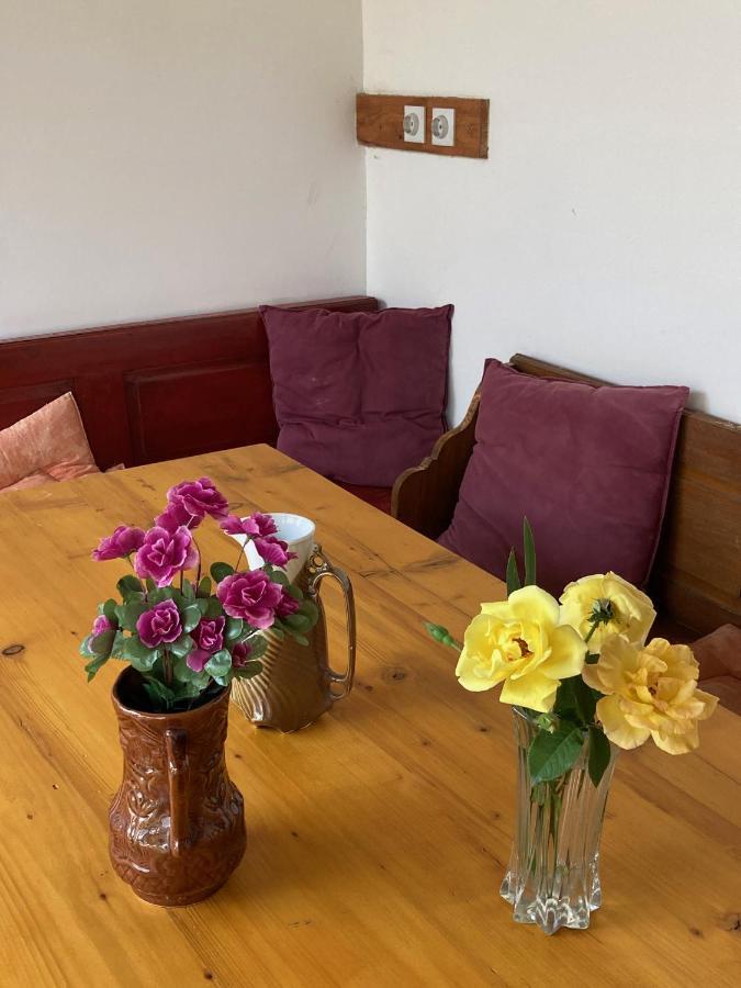 Nantucket Guesthouse Vrbas Bagian luar foto