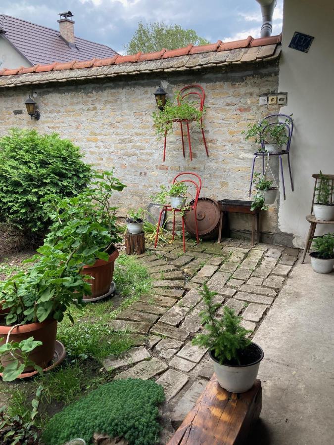Nantucket Guesthouse Vrbas Bagian luar foto