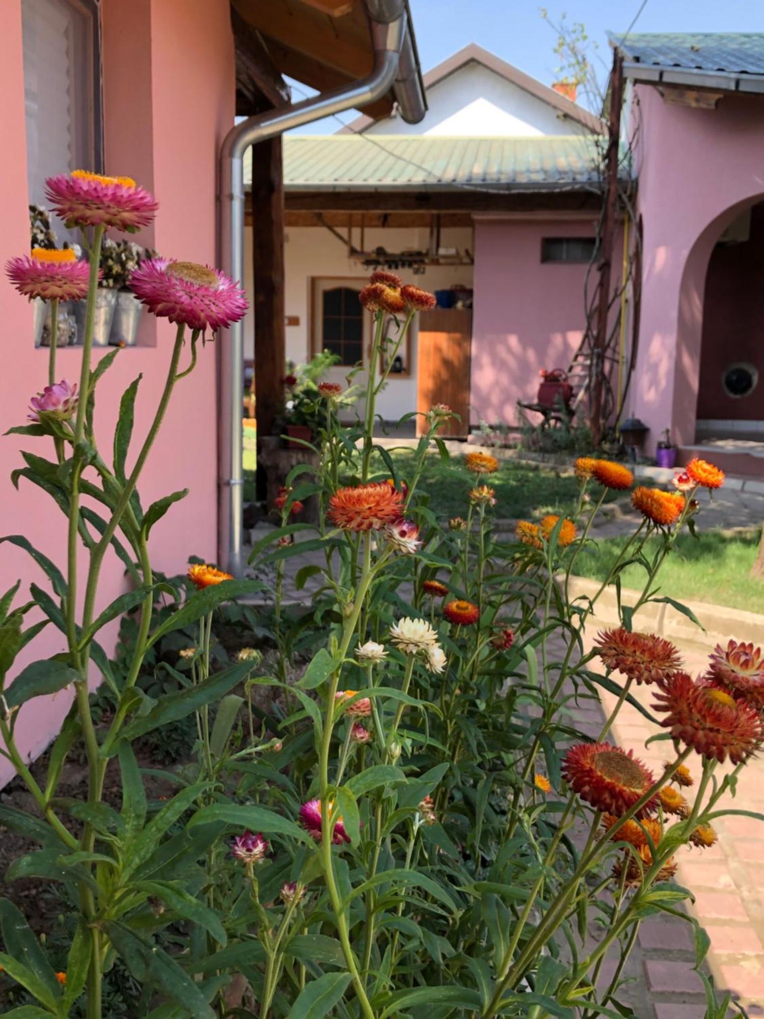 Nantucket Guesthouse Vrbas Bagian luar foto
